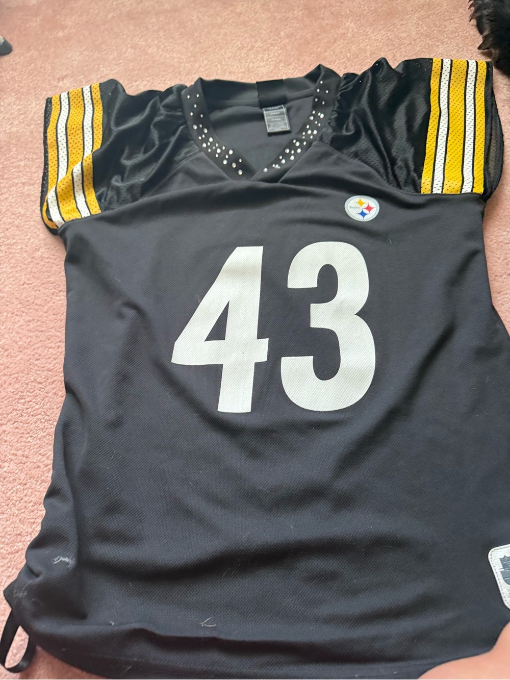 Pittsburgh Steelers #43 Black Football Jersey